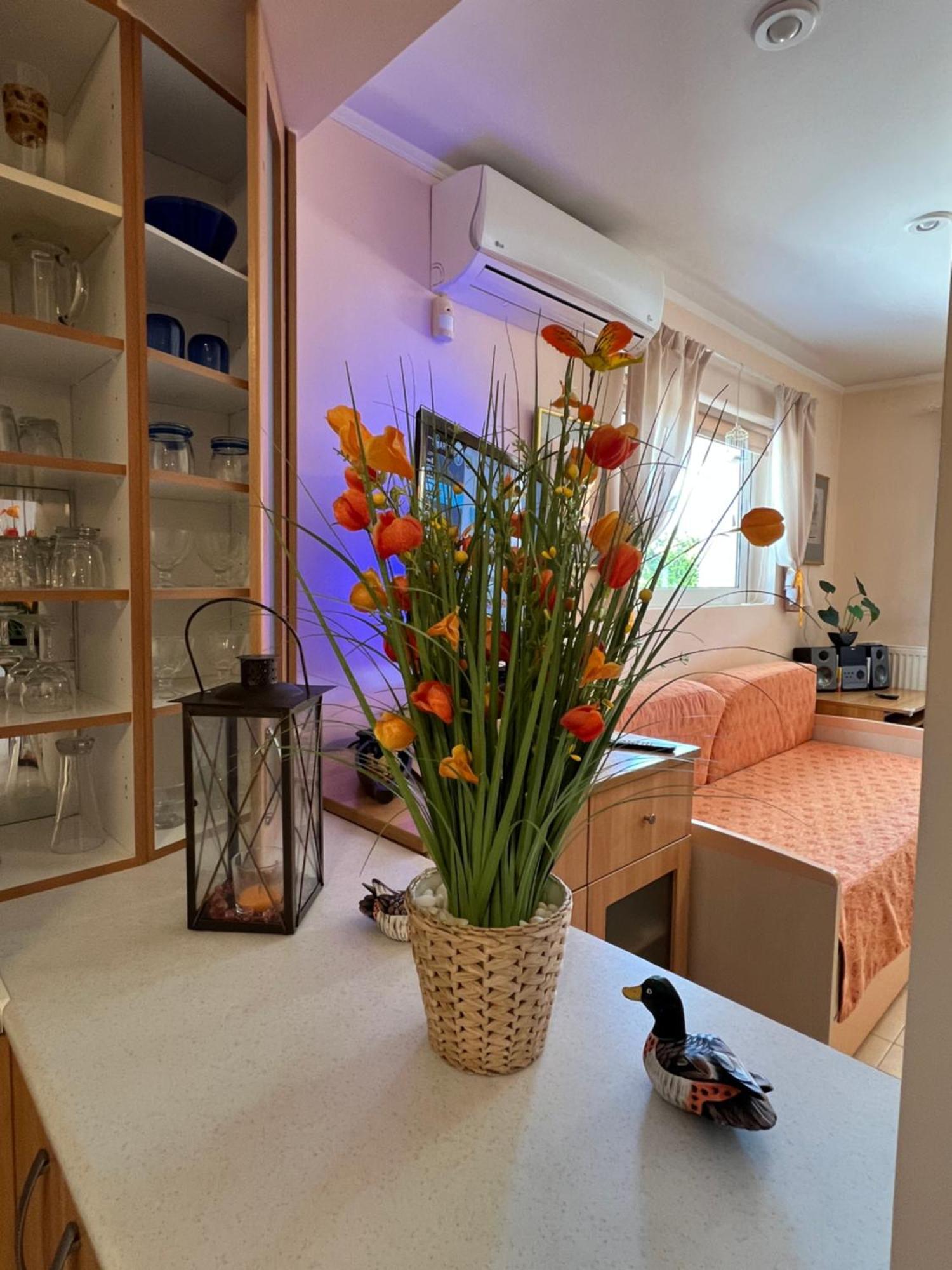 Апартаменты Iris-Gogo House Нафплион Экстерьер фото